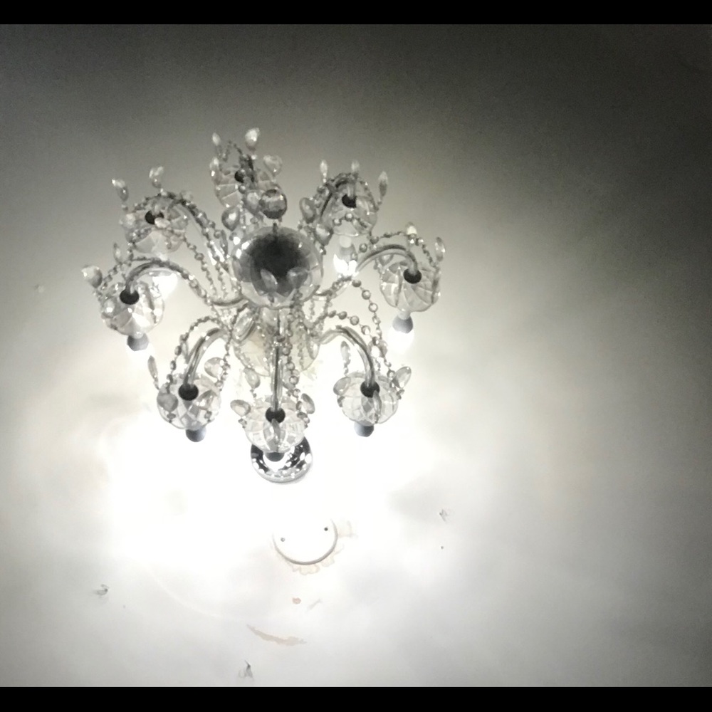 Meet your Posher, Shanon